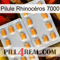 Pilule Rhinocéros 7000 cialis4